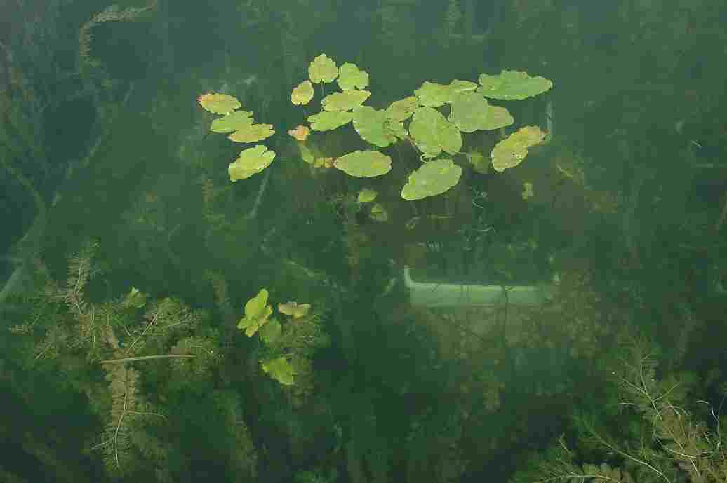 西北干旱棉区重载植保无人机飞防作业(图1)